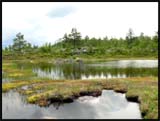 Norvège