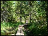Finlande Pieni Karhunkierros
